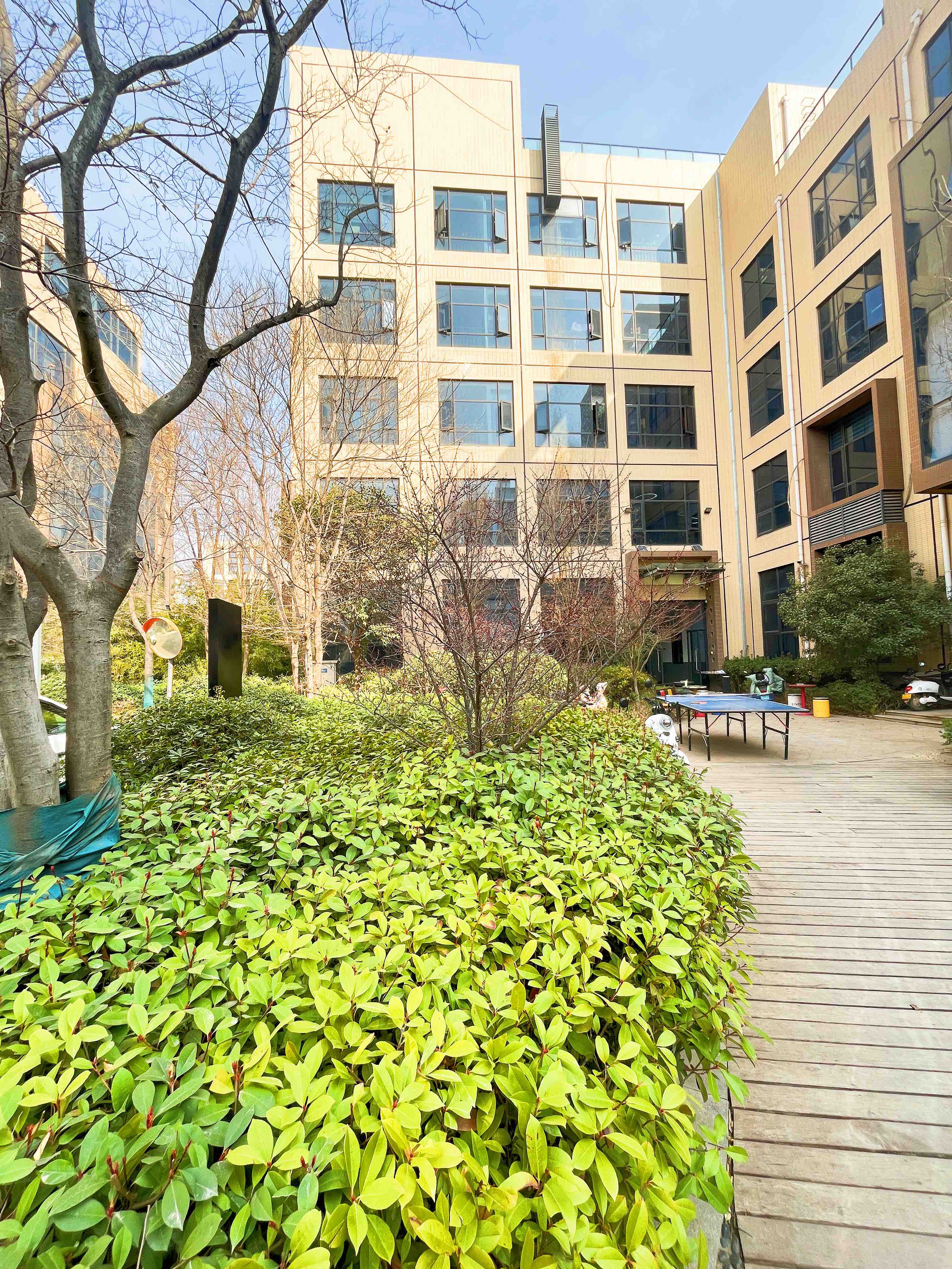 学校环境展示